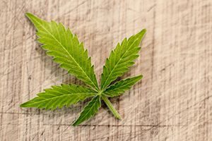 Weed Addiction
