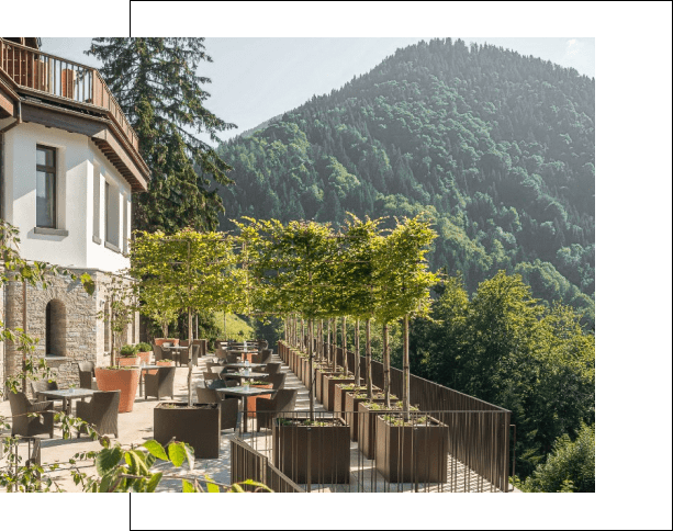 a building with trees on the side