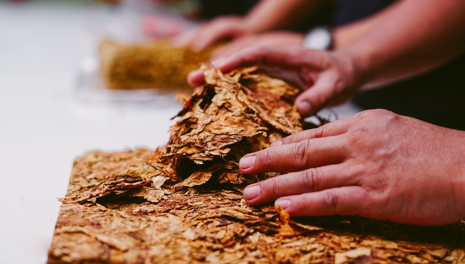 علاج إدمان التمباك 