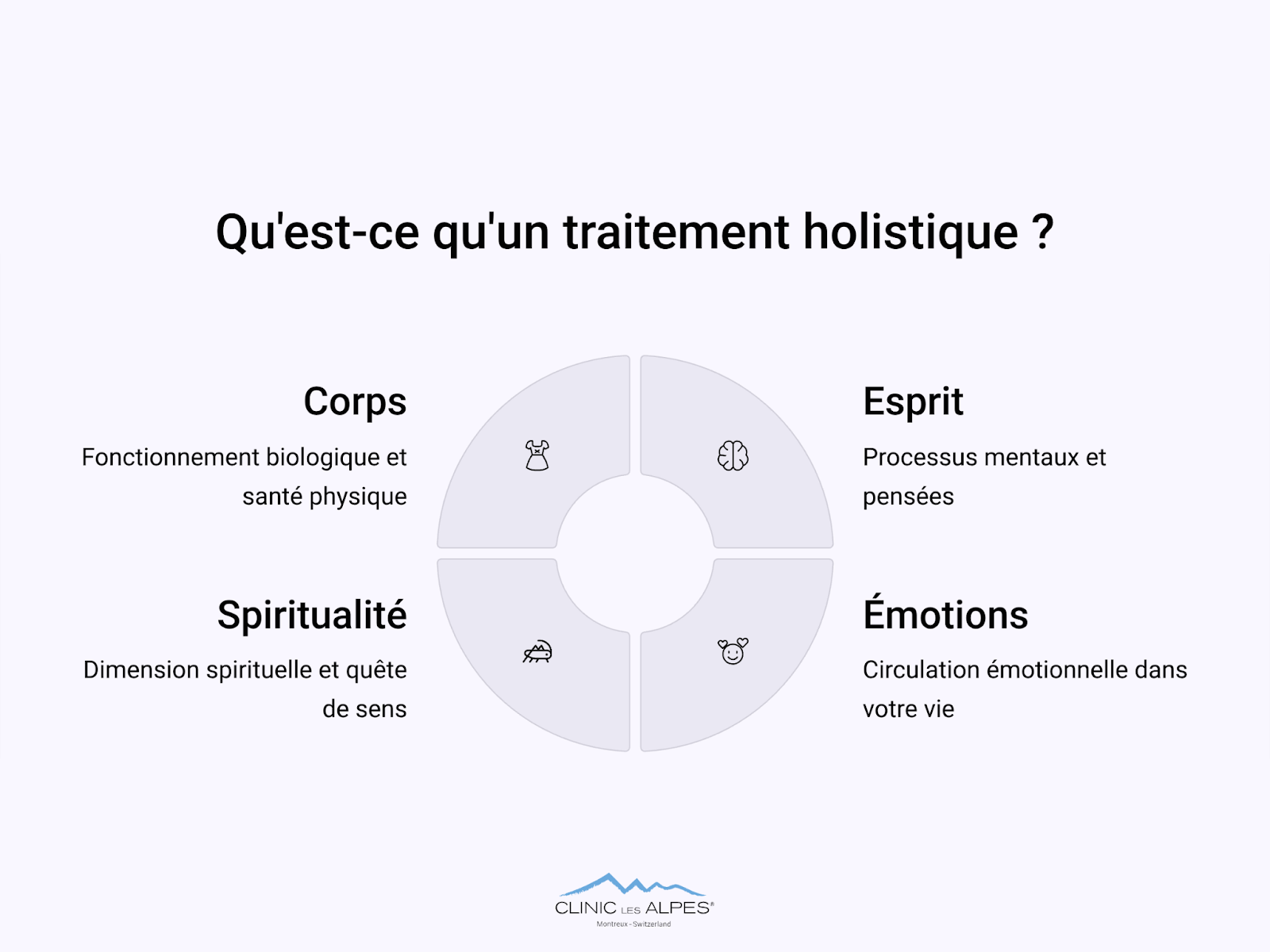 qu'est-ce qu'un traitemet holistique ?