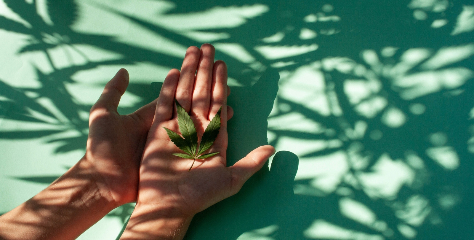 مدة خروج الحشيش من الجسم 